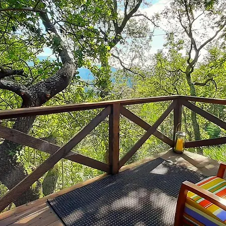 Farma Casa De Chouselas *