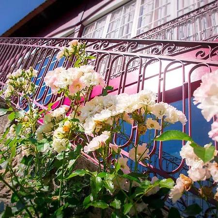 Casa De Chouselas Vilela