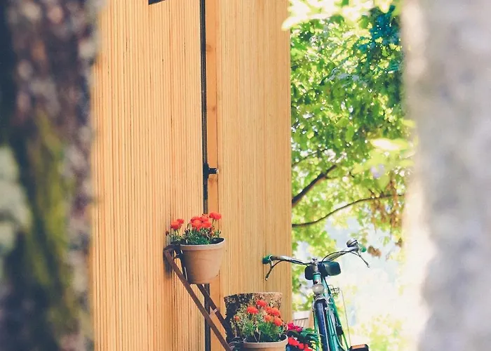 Casa De Chouselas Farma Vilela (Braga)