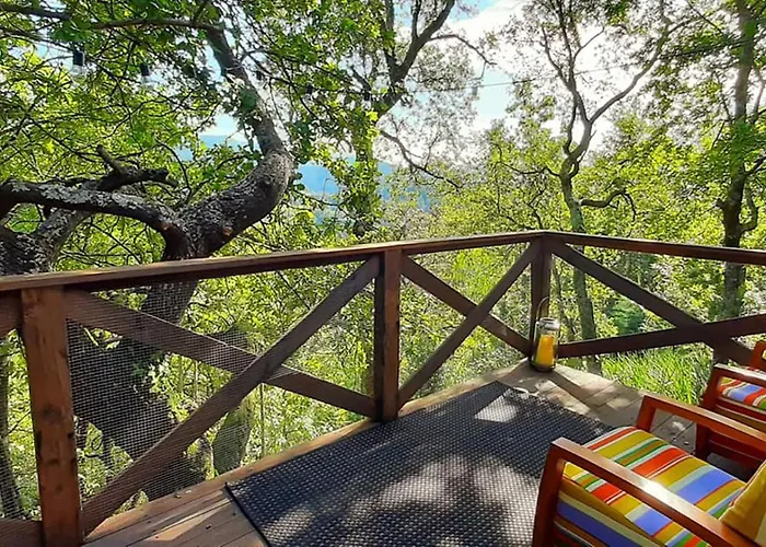 팜스테이 Casa De Chouselas *