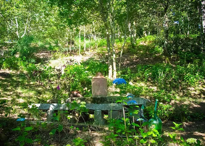 팜스테이 Casa De Chouselas Vilela (Braga)